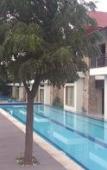 Туры в отель Ramya Resort & Spa Туры в отель Ramya Resort & Spa