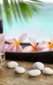 Туры в отель Hotel Moon Light Bhimtal Туры в отель Hotel Moon Light Bhimtal