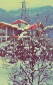 Туры в отель Countryside Himalayan Resort, Manali Туры в отель Countryside Himalayan Resort, Manali