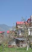 Туры в отель Countryside Himalayan Resort, Manali Туры в отель Countryside Himalayan Resort, Manali