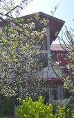 Туры в отель Countryside Himalayan Resort, Manali Туры в отель Countryside Himalayan Resort, Manali