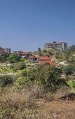 Туры в отель Mahua Bagh Resort Туры в отель Mahua Bagh Resort