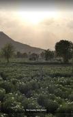 Туры в отель The Country Side Resort Туры в отель The Country Side Resort