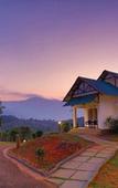 Туры в отель The Leaf Munnar Resort Туры в отель The Leaf Munnar Resort