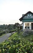 Туры в отель The Leaf Munnar Resort Туры в отель The Leaf Munnar Resort