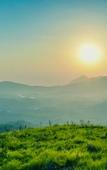 Туры в отель Shola Crown Resort - Munnar Туры в отель Shola Crown Resort - Munnar