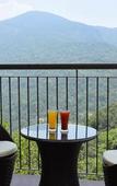 Туры в отель Shola Crown Resort - Munnar Туры в отель Shola Crown Resort - Munnar