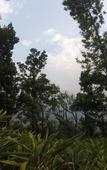 Туры в отель Shola Crown Resort - Munnar Туры в отель Shola Crown Resort - Munnar