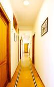Туры в отель Hotel Golf Links Resort - Mashobra Туры в отель Hotel Golf Links Resort - Mashobra