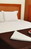 Туры в отель Hotel Ashok Residency Туры в отель Hotel Ashok Residency