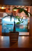 Туры в отель 10 Park Street Hotel & Banquets Туры в отель 10 Park Street Hotel & Banquets