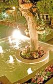 Туры в отель Royal Jardin Whistling Pines Resort Туры в отель Royal Jardin Whistling Pines Resort