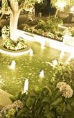 Туры в отель Royal Jardin Whistling Pines Resort Туры в отель Royal Jardin Whistling Pines Resort