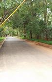 Туры в отель The Windflower Prakruthi - Bangalore Resort Туры в отель The Windflower Prakruthi - Bangalore Resort