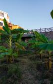 Туры в отель Lake Alpi resort Kumbhalgarh Туры в отель Lake Alpi resort Kumbhalgarh