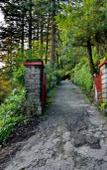 Туры в отель Brij Villa, Dalhousie - A Colonial Luxury Retreat Туры в отель Brij Villa, Dalhousie - A Colonial Luxury Retreat