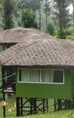 Туры в отель Wild Planet Resort Туры в отель Wild Planet Resort