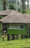 Туры в отель Wild Planet Resort Туры в отель Wild Planet Resort