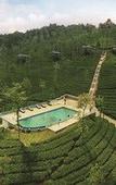 Туры в отель Wild Planet Resort Туры в отель Wild Planet Resort