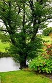 Туры в отель Warmth Lake Haven Туры в отель Warmth Lake Haven