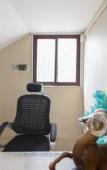 Туры в отель Treebo Soho Newtown Near New Town Bus Stand Туры в отель Treebo Soho Newtown Near New Town Bus Stand