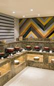 Туры в отель Regenta Central Noida Туры в отель Regenta Central Noida