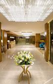 Туры в отель Regenta Central Noida Туры в отель Regenta Central Noida