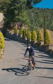 Туры в отель Welcomhotel by ITC Hotels, Shimla Туры в отель Welcomhotel by ITC Hotels, Shimla