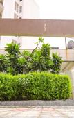 Туры в отель Hotel Shri Radha Nikunj Vrindavan Opposite Prem Mandir Туры в отель Hotel Shri Radha Nikunj Vrindavan Opposite Prem Mandir
