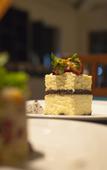 Туры в отель Regenta Place Green Leaf Mahabaleshwar Туры в отель Regenta Place Green Leaf Mahabaleshwar