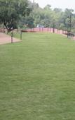 Туры в отель Regenta Place Green Leaf Mahabaleshwar Туры в отель Regenta Place Green Leaf Mahabaleshwar
