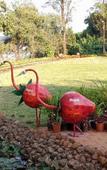 Туры в отель Regenta Place Green Leaf Mahabaleshwar Туры в отель Regenta Place Green Leaf Mahabaleshwar