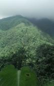 Туры в отель Regenta Place Green Leaf Mahabaleshwar Туры в отель Regenta Place Green Leaf Mahabaleshwar