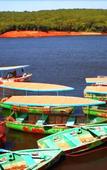 Туры в отель Regenta Place Green Leaf Mahabaleshwar Туры в отель Regenta Place Green Leaf Mahabaleshwar