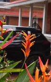 Туры в отель Regenta Place Green Leaf Mahabaleshwar Туры в отель Regenta Place Green Leaf Mahabaleshwar