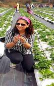 Туры в отель Regenta Place Green Leaf Mahabaleshwar Туры в отель Regenta Place Green Leaf Mahabaleshwar