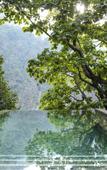 Туры в отель Taj Rishikesh Resort & Spa Uttarakhand Туры в отель Taj Rishikesh Resort & Spa Uttarakhand