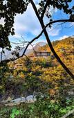 Туры в отель Taj Rishikesh Resort & Spa Uttarakhand Туры в отель Taj Rishikesh Resort & Spa Uttarakhand