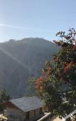 Туры в отель Taj Rishikesh Resort & Spa Uttarakhand Туры в отель Taj Rishikesh Resort & Spa Uttarakhand