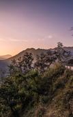 Туры в отель Taj Rishikesh Resort & Spa Uttarakhand Туры в отель Taj Rishikesh Resort & Spa Uttarakhand