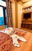 Туры в отель Hotel New Mamta Туры в отель Hotel New Mamta