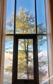 Туры в отель Taj Theog Resort & Spa, Shimla Туры в отель Taj Theog Resort & Spa, Shimla