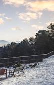 Туры в отель Taj Theog Resort & Spa, Shimla Туры в отель Taj Theog Resort & Spa, Shimla
