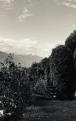 Туры в отель Himalayan Kothi Kais Туры в отель Himalayan Kothi Kais