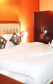 Туры в отель Hotel Padmini Palace Туры в отель Hotel Padmini Palace