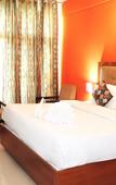 Туры в отель Hotel Padmini Palace Туры в отель Hotel Padmini Palace