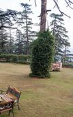Туры в отель Hotel Southgate Shimla Туры в отель Hotel Southgate Shimla