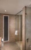 Туры в отель Nirvana Sarovar Portico Gorakhpur Туры в отель Nirvana Sarovar Portico Gorakhpur