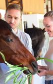 Туры в отель Fazlani Natures Nest - The Wellness Retreat Туры в отель Fazlani Natures Nest - The Wellness Retreat