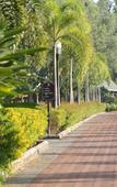 Туры в отель Fazlani Natures Nest - The Wellness Retreat Туры в отель Fazlani Natures Nest - The Wellness Retreat